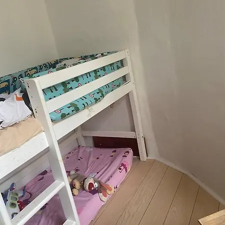 Flat And Area Apartment *