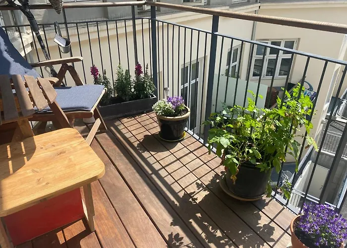 Flat And Area Apartment *