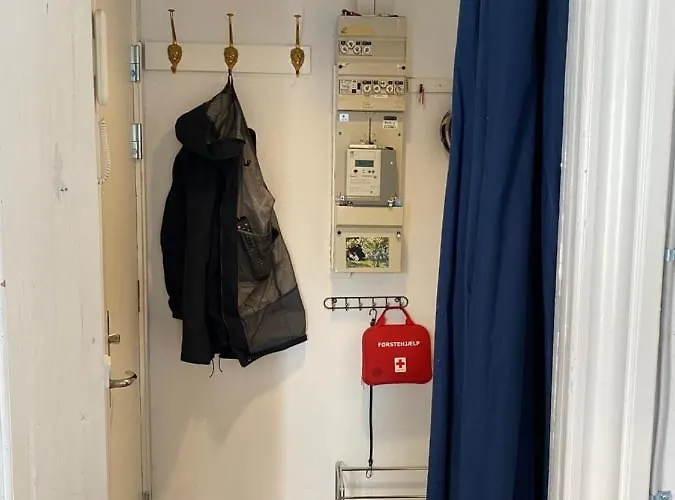 Apartment Flat And Area